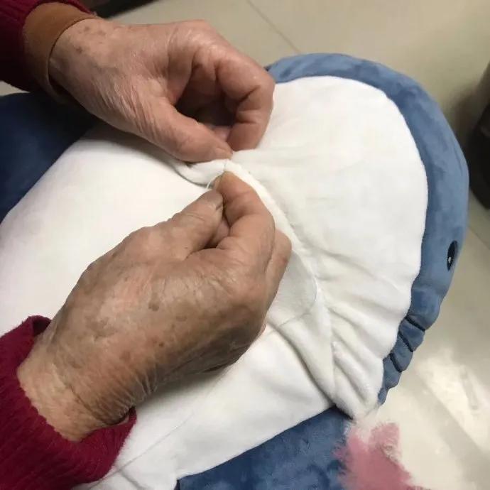 狗狗偷吃红烧肉还把主人坑惨了,狗狗偷吃了好多宠物零食