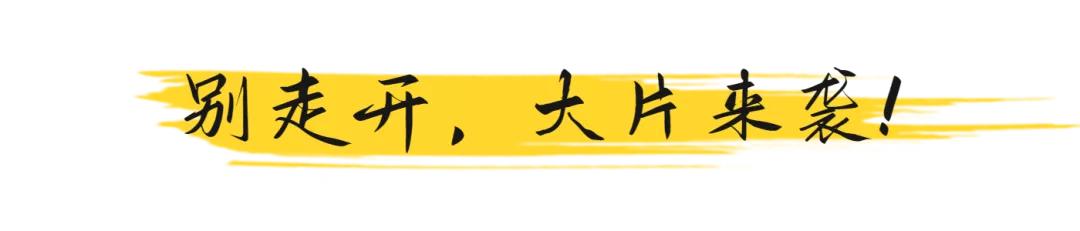 击剑校园比赛,学校击剑运动会