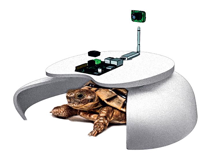 王凯机器人,王凯宁波赛道