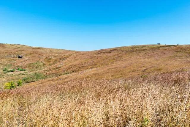 想不通就去爬山看海吧,呼伦贝尔大草原自驾游攻略