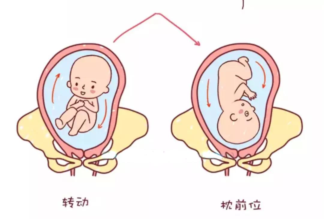 B超单上显示这四个大字,恭喜你,已拿到顺产“通行证”