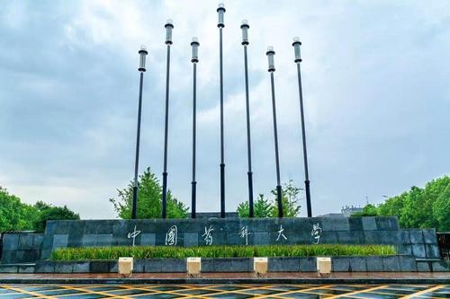 中国教授团队发现肿瘤治疗新策略,癌症克星我国最新科研成果