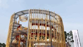 双流哪里可以赏花看飞机,双流附近赏花攻略路线