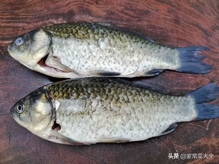 家常炖鲫鱼的正确方法,炖鲫鱼放不放生抽