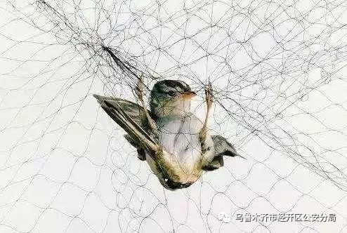 日入千元游戏,日入过万的骗局