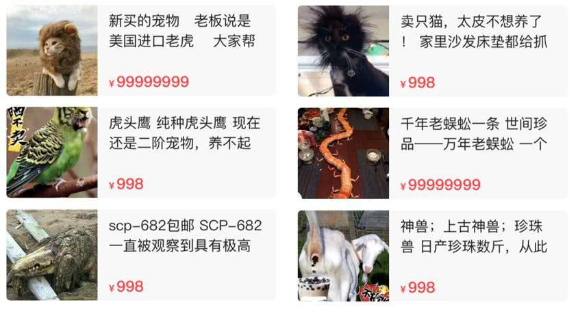 闲鱼神兽,在闲鱼上面买的宠物是真还是假