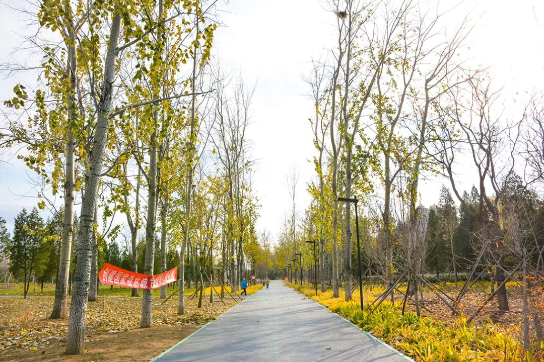 春意盎然北京五大公园,北京区级综合性公园