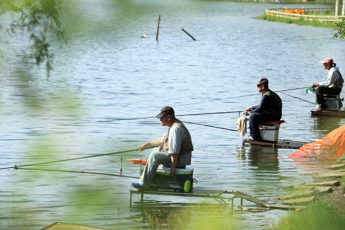 一招解决红眼病,鱼红眼病用什么药