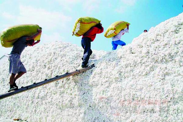 为什么农民种粮补贴不高,为什么农民不种地会得到补贴