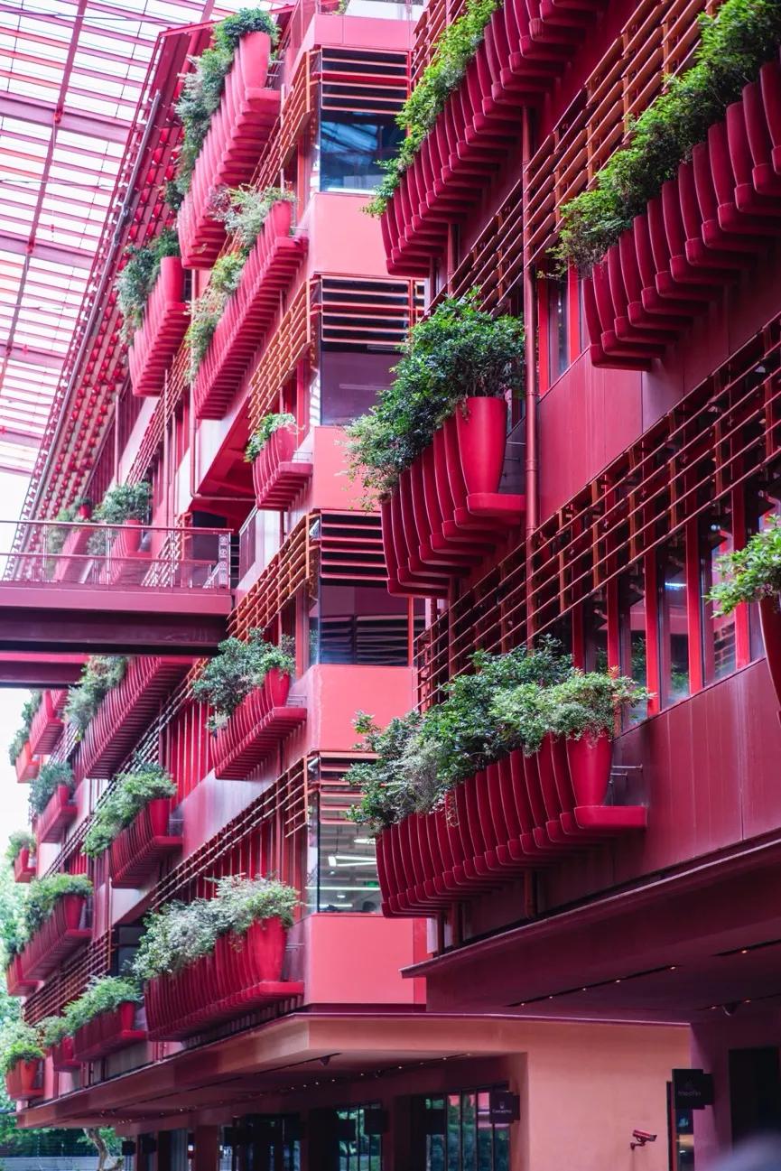 永诺rf85mmf1.8二代虚焦,最轻的中焦段全画幅变焦镜头