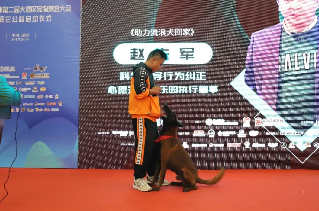 pungo瀹犵墿缇庡,瀹犵墿澶ц禌瀹岀編钀藉箷