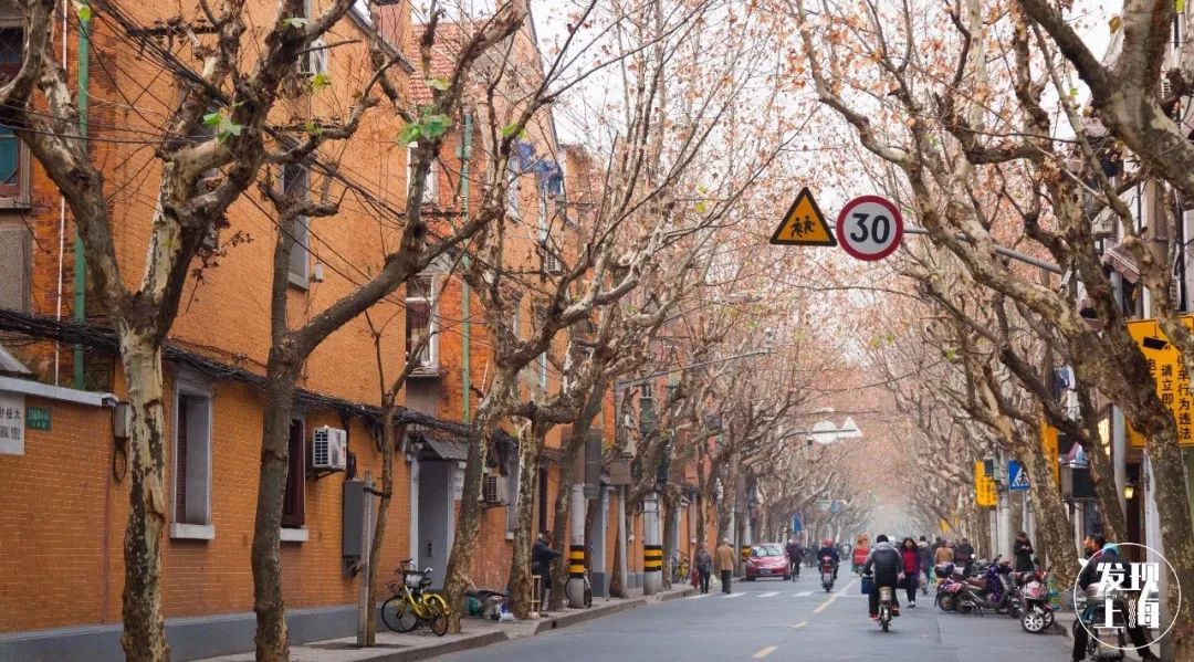 上海宋城免费景点,上海一日游攻略必去景点免费