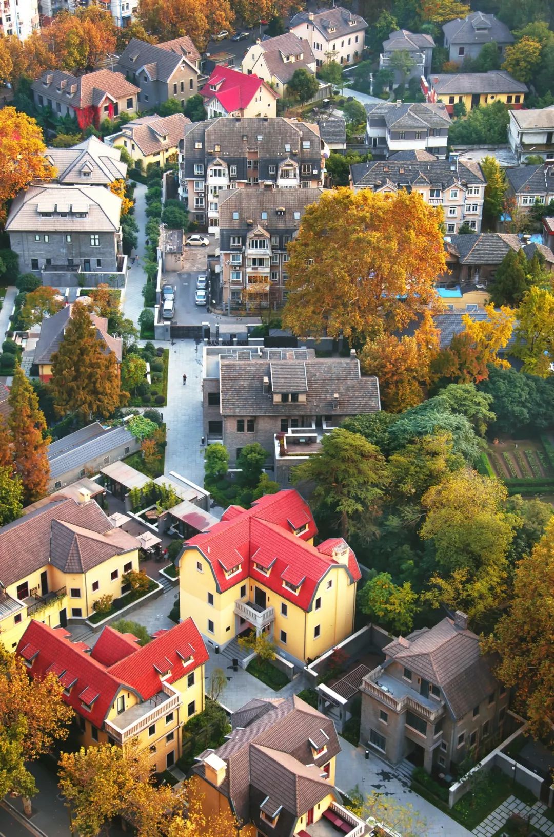 去了那么多次你真的了解南京吗,去了很多地方就会有阅历吗