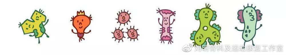 “发炎”和“炎症”我们该如何区别？