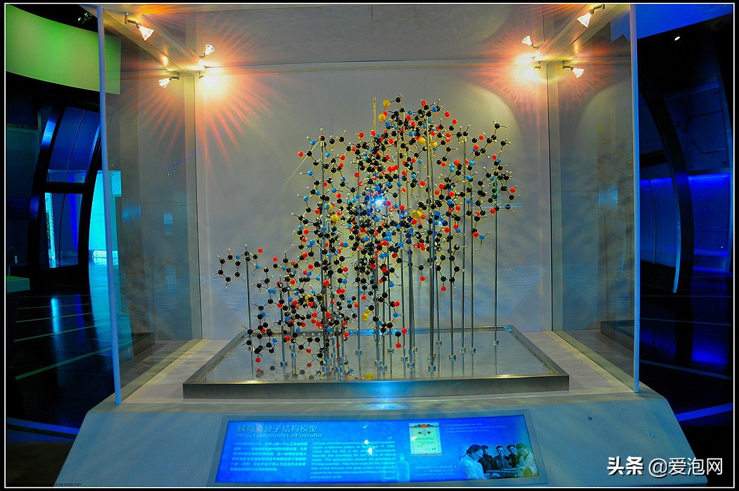 上海天文馆和科技馆哪个更值得去,上海自然博物馆和科技馆哪个好玩