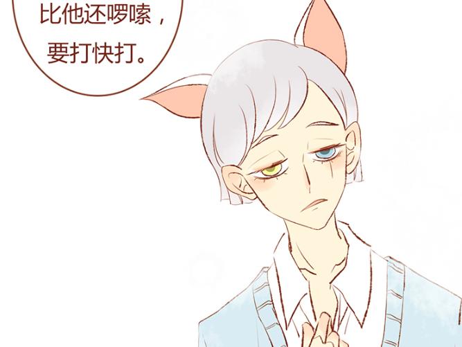 一只可爱流浪猫会怎么样,一只流浪猫把一只宠物猫给拐走了