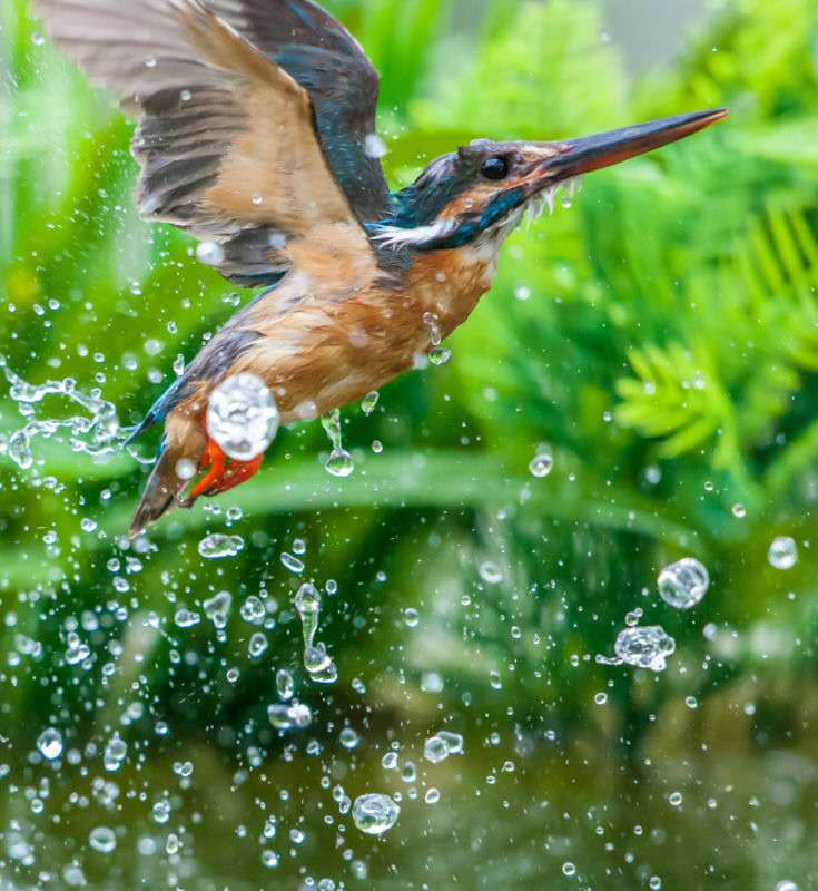 摄影审美练习,摄影观察力培训