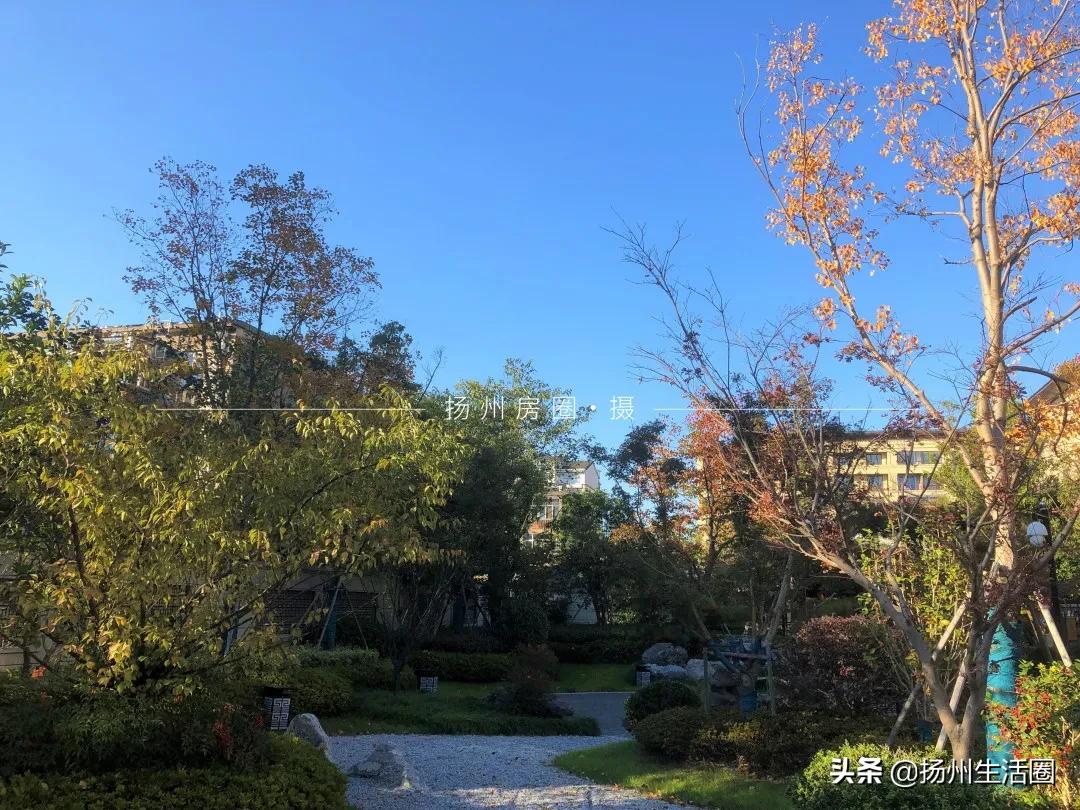 美到极致的园林景观！被扬州这个小区圈粉了！内部细节曝光