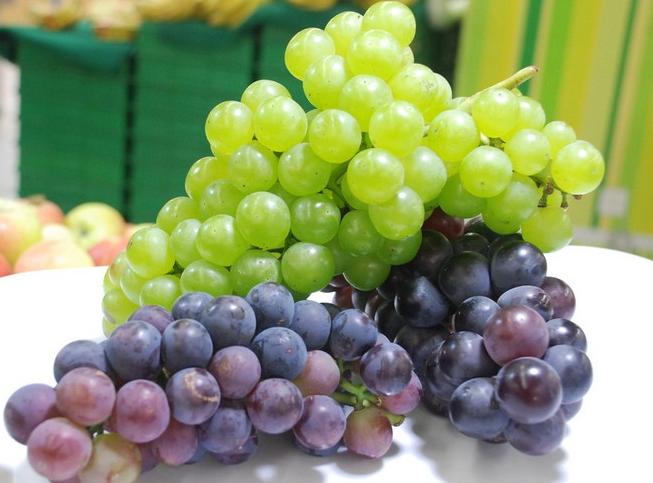 葡萄是大颗粒好还是小颗粒好,葡萄大粒无籽甜度对比