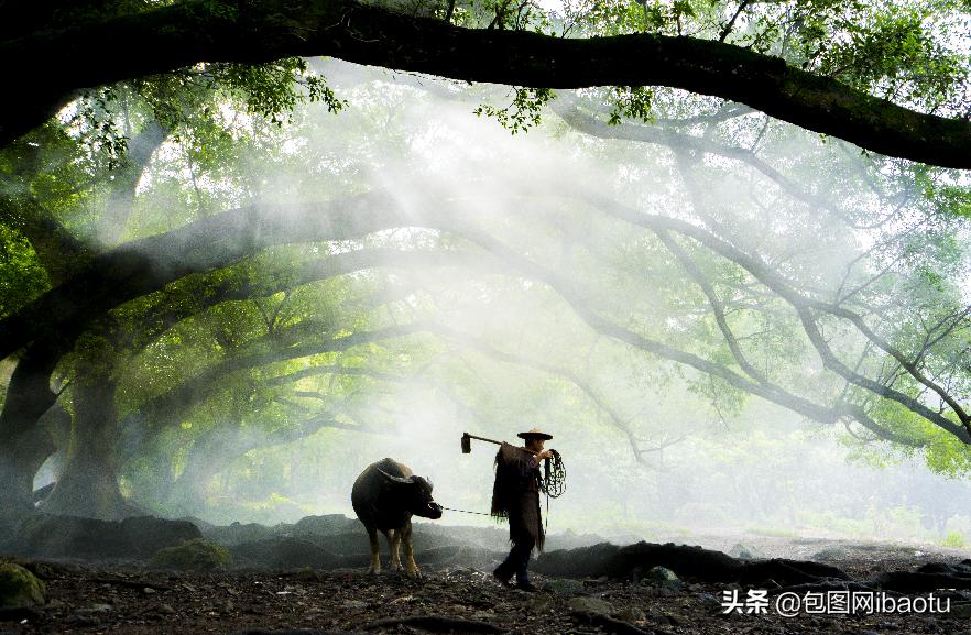 包图片大全欣赏,包图图片大全