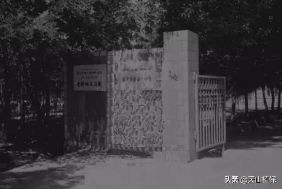 上榜啦！*疆新**鸟市和石市即将被国家命名！未来发展不可估量