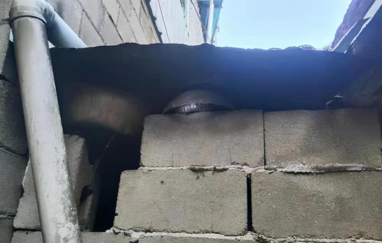 3米长眼镜王蛇爬进农户家中,2.4米眼镜王蛇闯入村民家纳凉