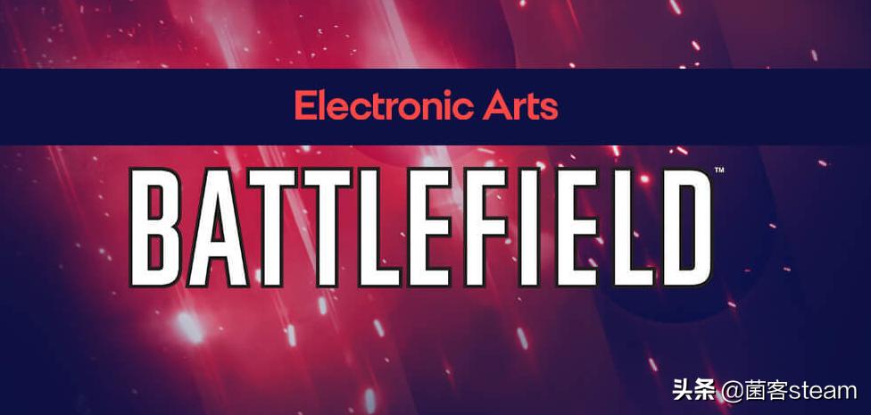 ea的战地风云打不开,ea战地风云标准版和决定版