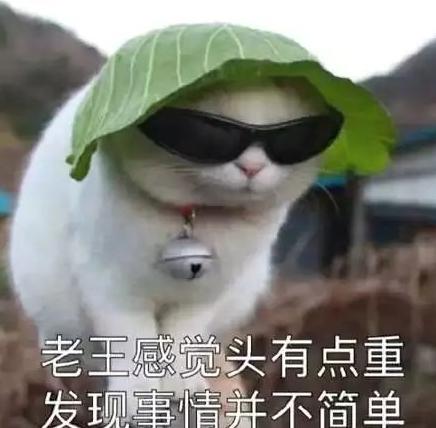 成都防坑指南,凤凰古城防坑指南