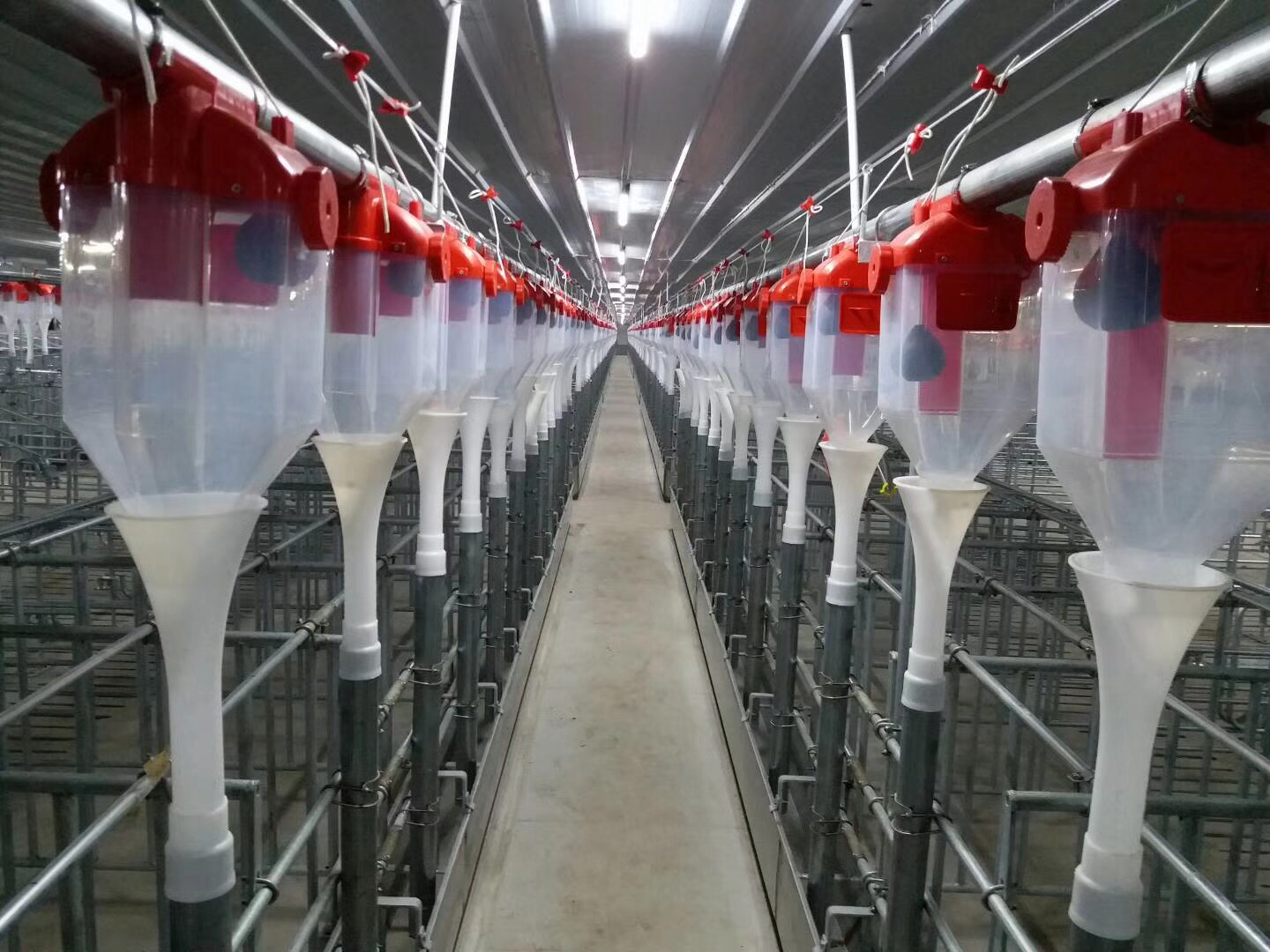 南商农科是什么,规模化养猪技术大全