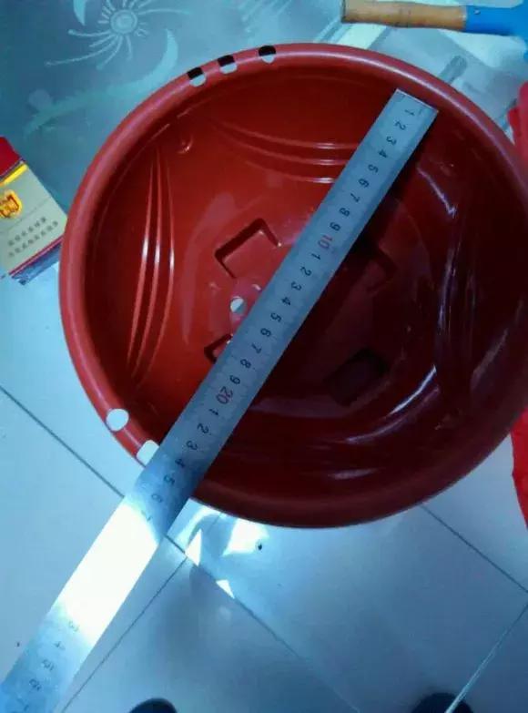 吊兰绿萝怎么换土,绿萝和吊兰用什么土壤