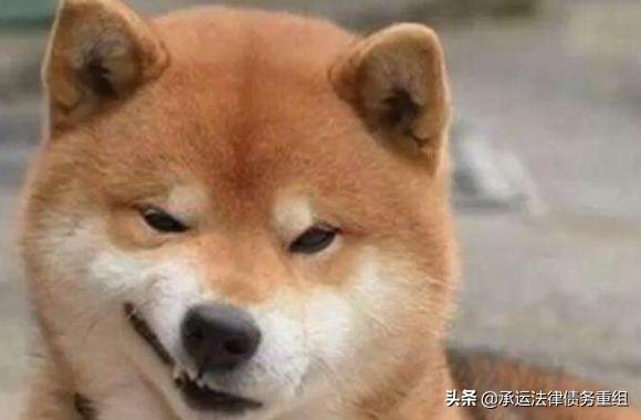 影帝级的网赌代理，套路和“杀猪盘”大同小异，你仔细品……