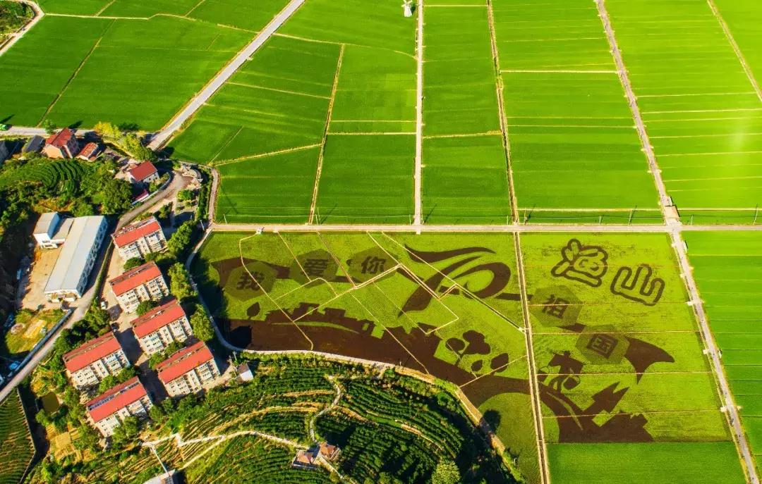 钱塘江画卷,钱塘江画作