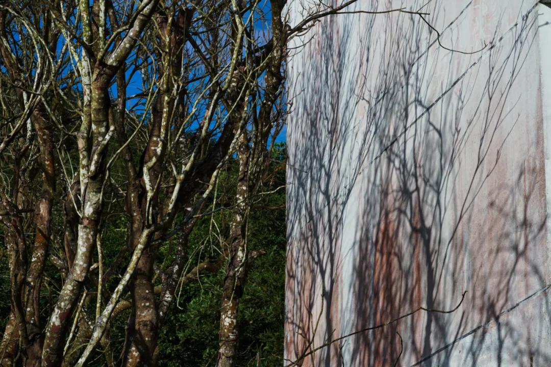 静谧角落香云纱,静谧角落视频