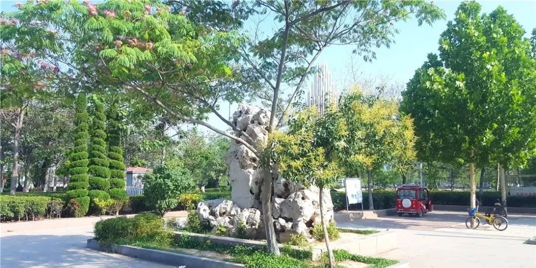 奇怪的古塔燕子----“严冬不南迁，有足不成行”