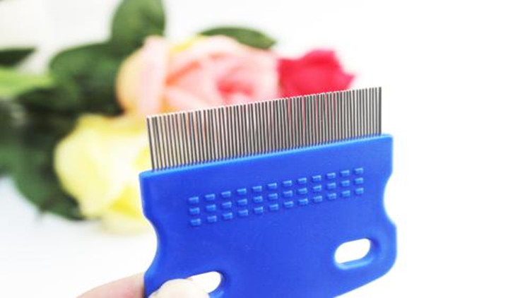 5招手把手教你如何防治跳蚤