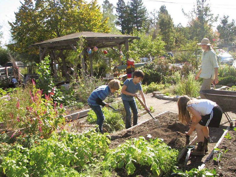 华德学院是什么意思,华德福五所学校