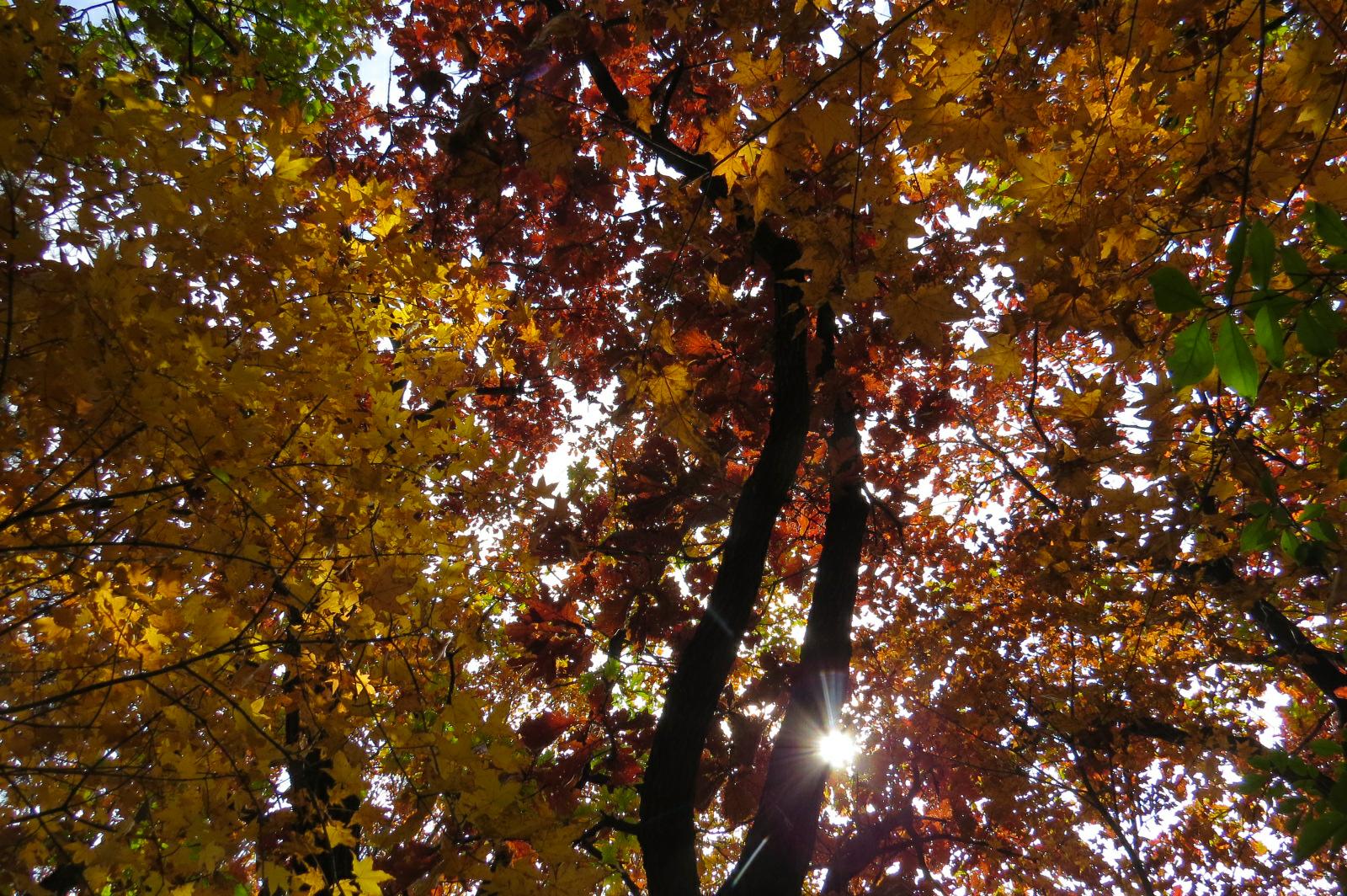 抚顺99座山峰游记,抚顺12座山峰