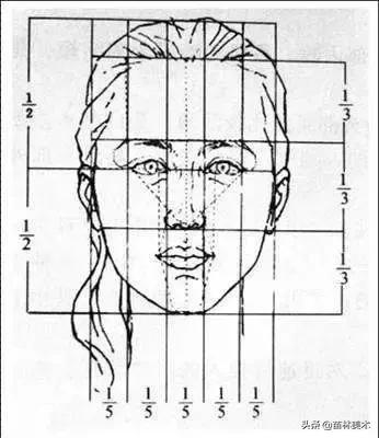 最全的速写的理论知识,速写最快学会