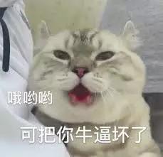 半程马拉松2小时什么水平,半程马拉松赛前一周训练