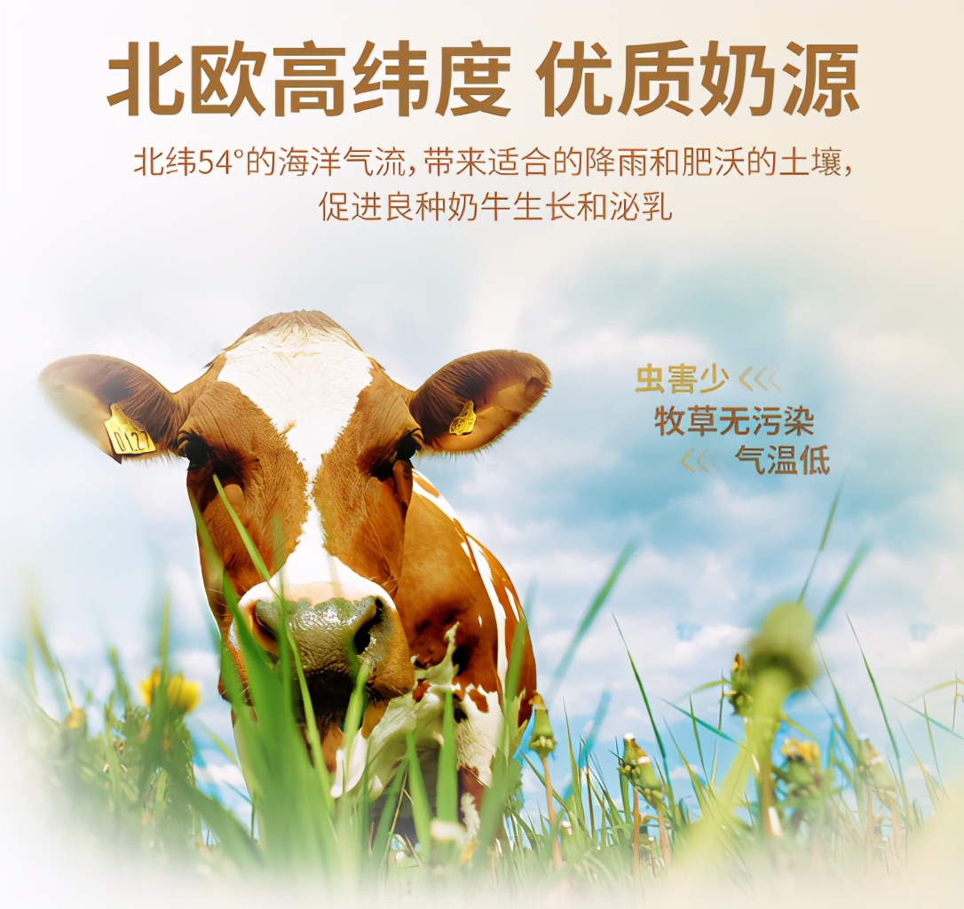 原装进口麦蔻奶粉排行榜,麦蔻金装婴儿奶粉怎么样