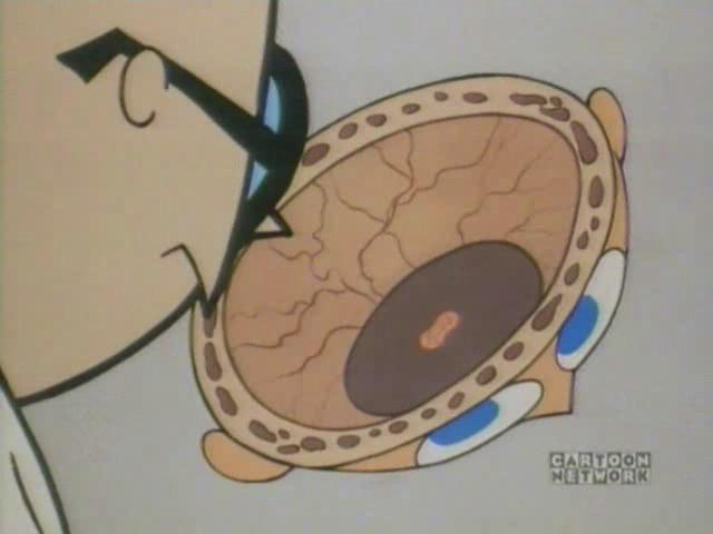 8090中国引进日本动画片,90年代引进的美国动画片大全