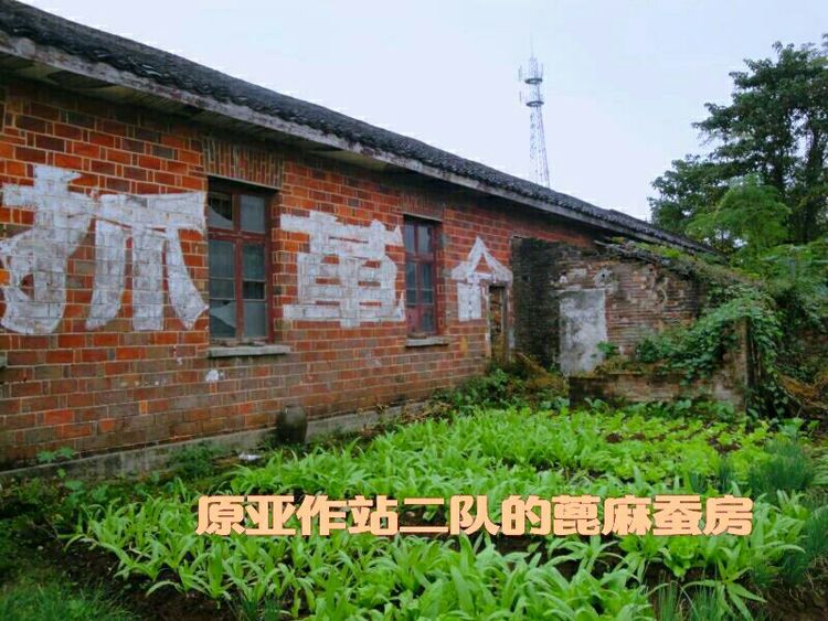 知青情结图片素材,60年代的知青情结