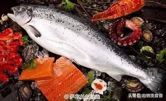 32种经典寿司做法视频,寿司常用的鱼