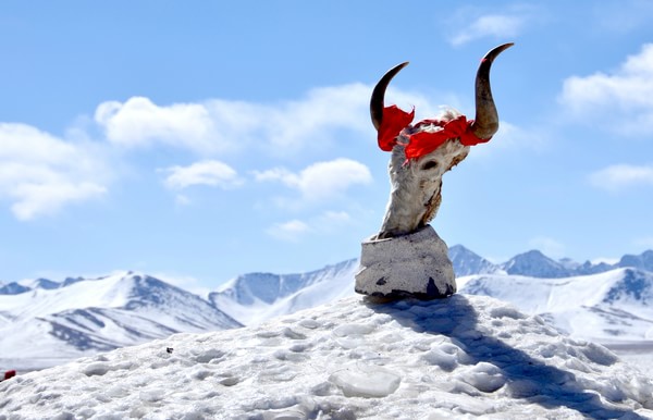 去高原有必要买药吗,去高原吃什么药最好呢