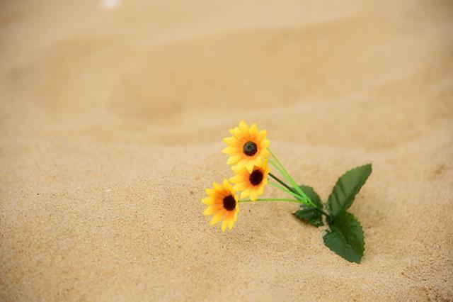 程序员具备什么条件可以创业,好的创业团队需要具备哪些条件