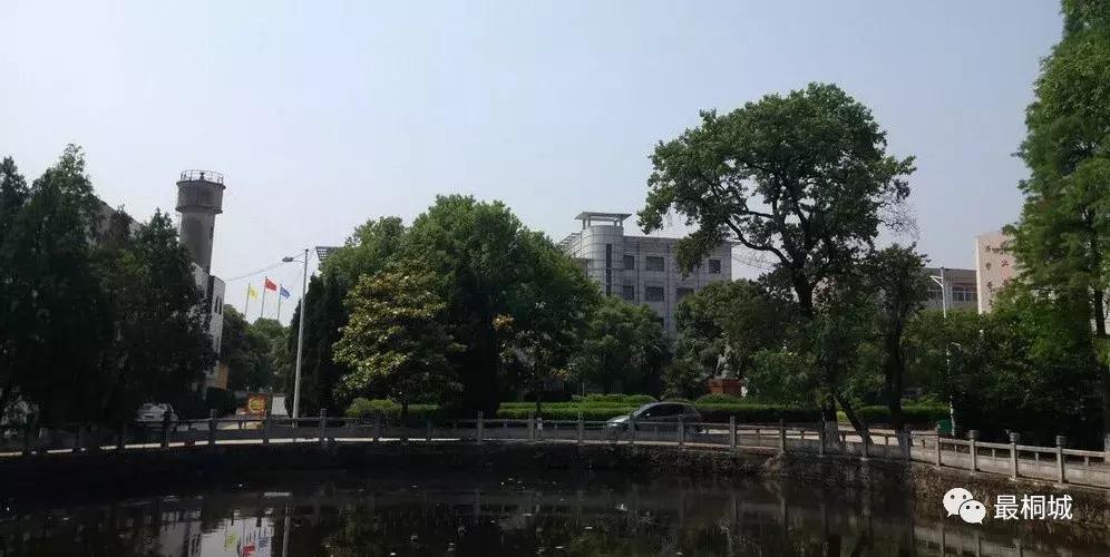 天成毕业照,一帧一帧的毕业照