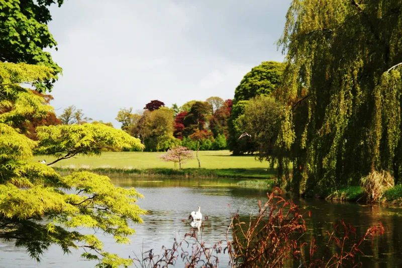 从天津会计到伦敦名媛的变身