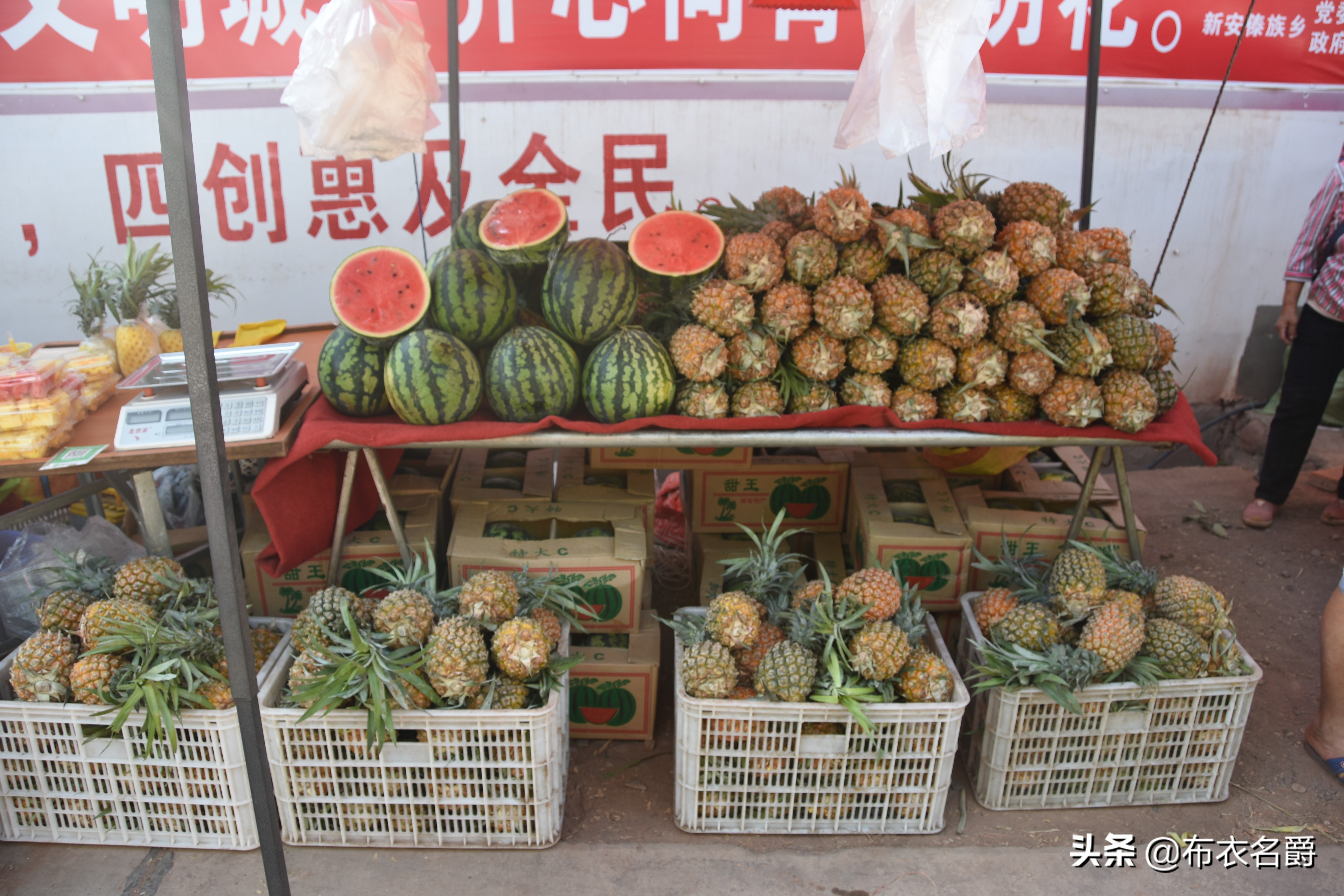 中兽医研究：中医药论治羊四季常见病
