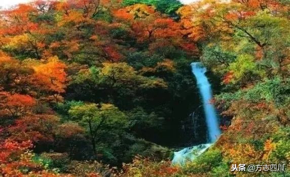 四川改革开放的重大改变,1988年四川改革开放大事记