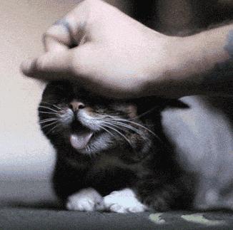 你和富豪的差距只差一个习惯,你和富人的差距只有一点